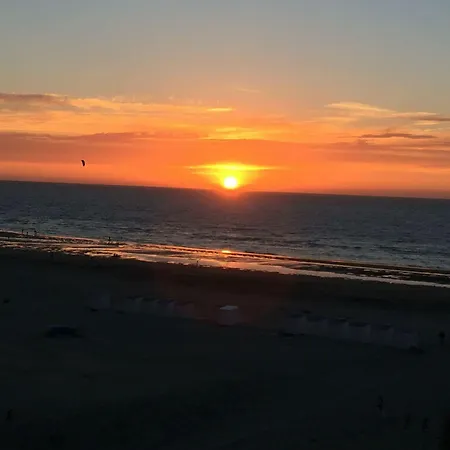 Ross, Zonnig En Gezellig En Vlakbij De Zee Apartment *