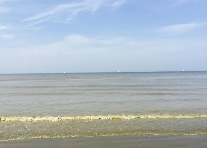 Ross, Zonnig En Gezellig En Vlakbij De Zee Apartamento *