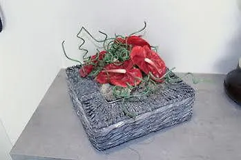 Ross, Zonnig En Gezellig En Vlakbij De Zee * Middelkerke