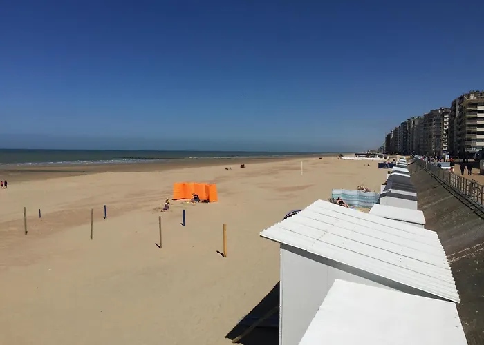 Ross, Zonnig En Gezellig En Vlakbij De Zee *